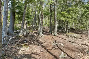 318 Kings Hwy, New Durham, NH 03855 - Photo 20