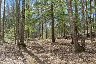 318 Kings Hwy, New Durham, NH 03855 - Photo 16