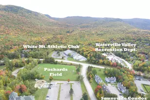 10 Sunnyside Way, Waterville Valley, NH 03215 - Photo 16