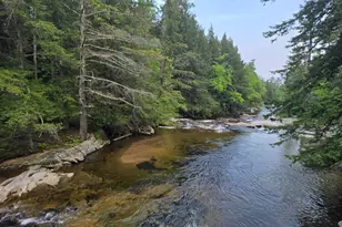 4 Chandler Mountain Rd, Bartlett, NH 03845 - Photo 40