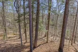 1784 Stinson Lake Rd, Rumney, NH 03266 - Photo 30