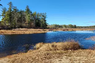 345 Heron Point Rd, Alton, NH 03809 - Photo 6