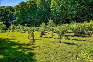 226 Amesbury Rd, Kensington, NH 03833 - Photo 36