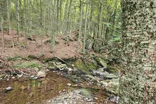 413 Pettyboro Rd, Lyman, NH 03585 - Photo 6