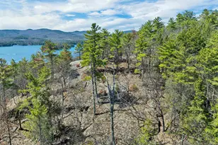630 Rattlesnake Island, Alton, NH 03810 - Photo 48