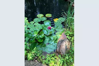 490 Clough Road, Pittsfield, NH 03263 - Photo 60