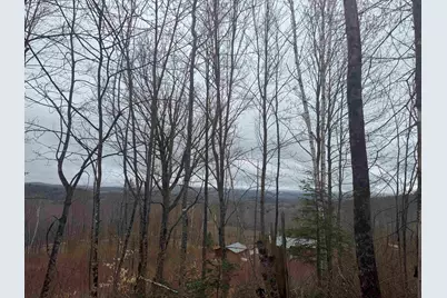 231 John Rock Road, Wheelock, VT 05851 - Photo 10