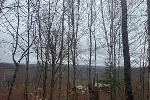 231 John Rock Rd, Wheelock, VT 05851 - Photo 10