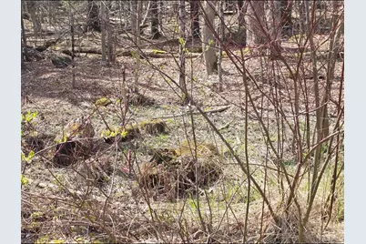 0 Jacobs Ladder Road, Becket, MA 01223 - Photo 6
