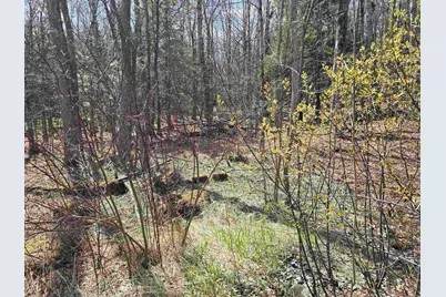 0 Jacobs Ladder Road, Becket, MA 01223 - Photo 4