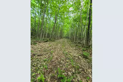 882 Morse Road, Haverhill, NH 03774 - Photo 22