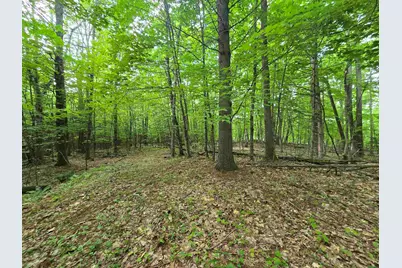 882 Morse Road, Haverhill, NH 03774 - Photo 34