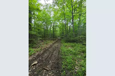 882 Morse Road, Haverhill, NH 03774 - Photo 28