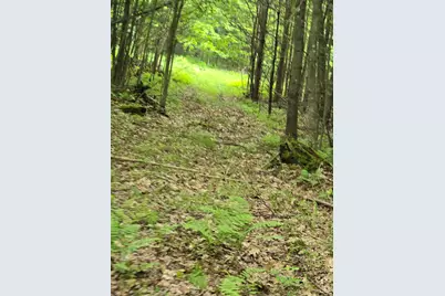 882 Morse Road, Haverhill, NH 03774 - Photo 20