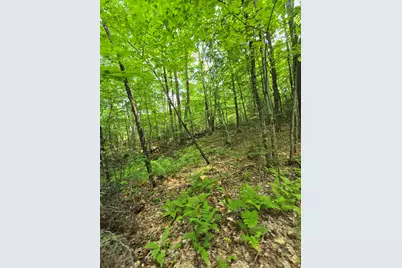 882 Morse Road, Haverhill, NH 03774 - Photo 24