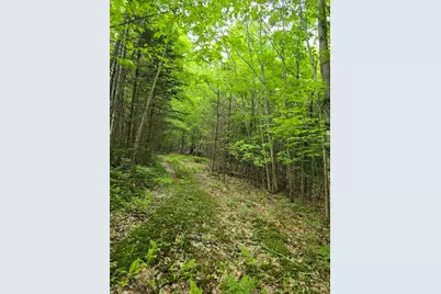 882 Morse Road, Haverhill, NH 03774 - Photo 30