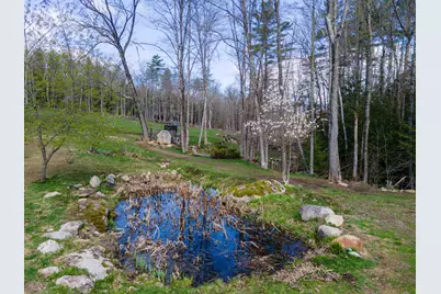 193 Croydon Turnpike, Croydon, NH 03773 - Photo 4