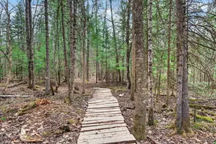 10 Mount Lafayette Way, Bethlehem, NH 03574 - Photo 48