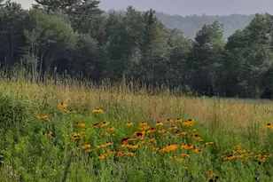 321 Center District Rd, Sugar Hill, NH 03586 - Photo 56