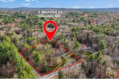 5 Whitetail Lane, Chester, NH 03036 - Photo 54