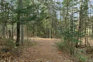 72 Black Bear Rd, Carroll, NH 03595 - Photo 50