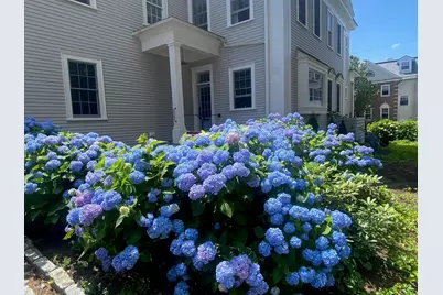 353 Pleasant Street, Portsmouth, NH 03801 - Photo 2
