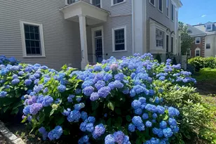 353 Pleasant St, Portsmouth, NH 03801 - Photo 2