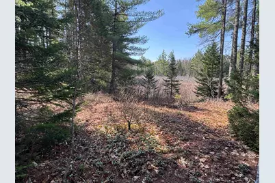 00 Province Lake Road, Effingham, NH 03882 - Photo 4