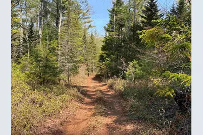 00 Province Lake Road, Effingham, NH 03882 - Photo 8