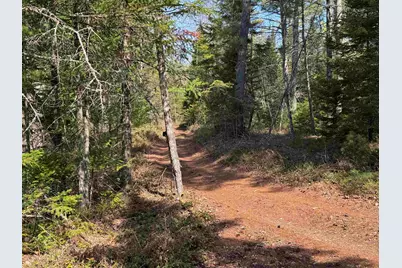 00 Province Lake Road, Effingham, NH 03882 - Photo 52