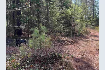 00 Province Lake Road, Effingham, NH 03882 - Photo 18