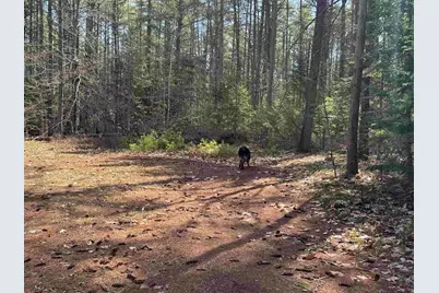 00 Province Lake Road, Effingham, NH 03882 - Photo 26