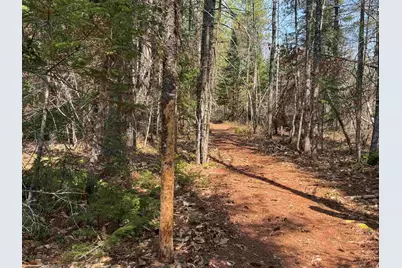 00 Province Lake Road, Effingham, NH 03882 - Photo 22
