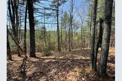 00 Province Lake Road, Effingham, NH 03882 - Photo 30