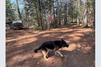 00 Province Lake Road, Effingham, NH 03882 - Photo 46