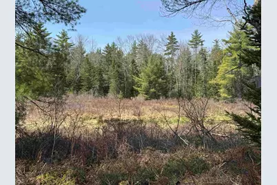 00 Province Lake Road, Effingham, NH 03882 - Photo 6