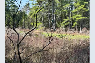 00 Province Lake Road, Effingham, NH 03882 - Photo 54