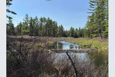 00 Province Lake Road, Effingham, NH 03882 - Photo 14