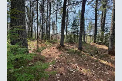 00 Province Lake Road, Effingham, NH 03882 - Photo 28