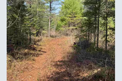 00 Province Lake Road, Effingham, NH 03882 - Photo 60