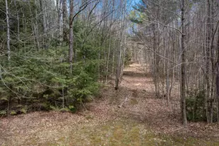 14 Lloyd St, Campton, NH 03223 - Photo 38