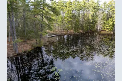 34 Cleveland Hill Road, Brookline, NH 03033 - Photo 54