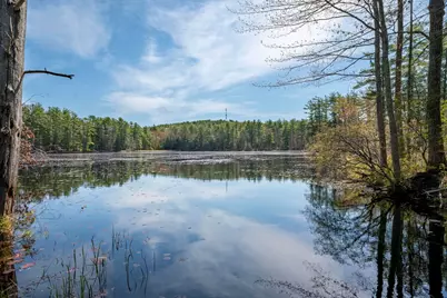 34 Cleveland Hill Road, Brookline, NH 03033 - Photo 48