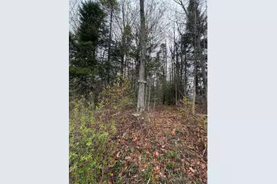 00 Lebensdorf Lane, Readsboro, VT 05350 - Photo 4