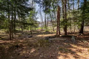 334 Brush Brook Rd, Dublin, NH 03444 - Photo 50
