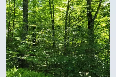 Lot 26 Presidential View Lane, Bethlehem, NH 03574 - Photo 2