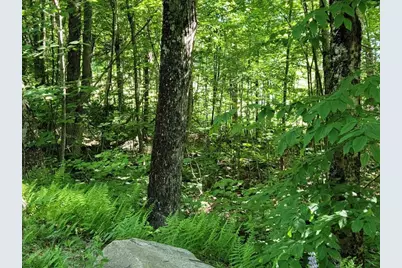 Lot 26 Presidential View Lane, Bethlehem, NH 03574 - Photo 8