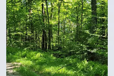 Lot 26 Presidential View Lane, Bethlehem, NH 03574 - Photo 4