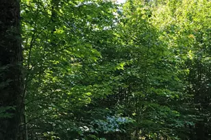 Lot 26 Presidential View Ln, Bethlehem, NH 03574 - Photo 1