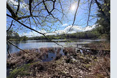 0 N Old Branch Road, Antrim, NH 03440 - Photo 10